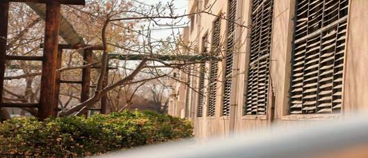 IMG_0625(20220309-070111)